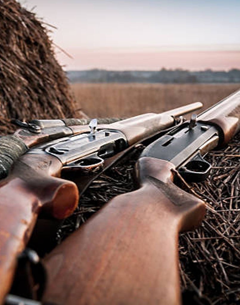 South Africa Hunting Lodge