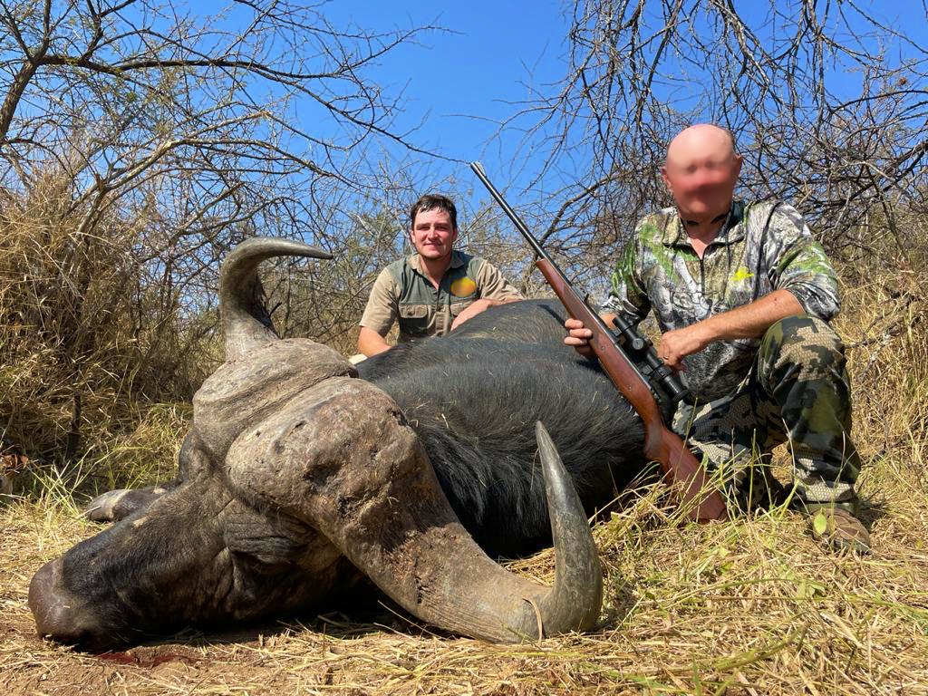 buffalo_20210808 1108 (2)