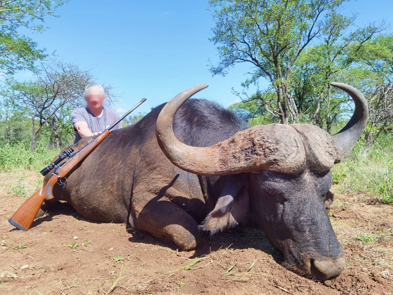 buffalo_20220405 1220 (2)