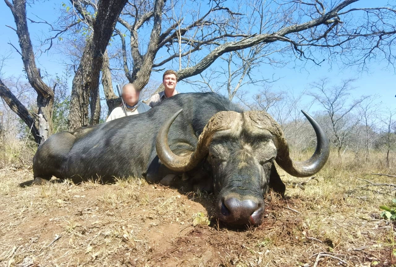 buffalo_20220829 1225 (2)