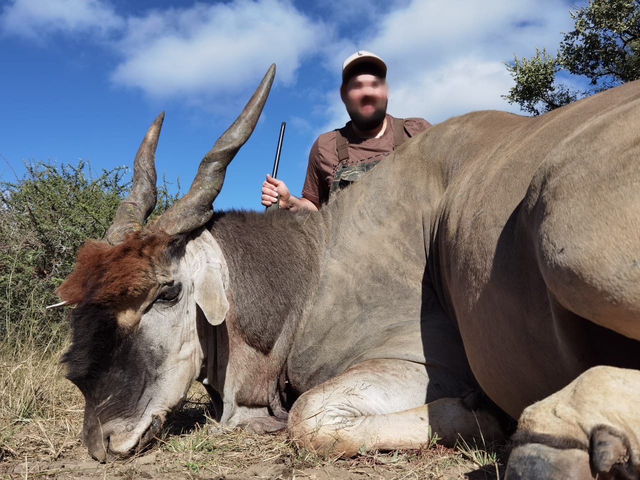 eland_20210607 1014 (3)