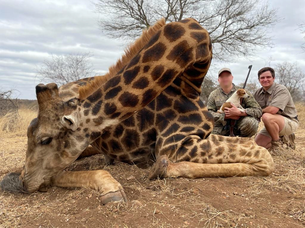 giraffe_20210922 1030