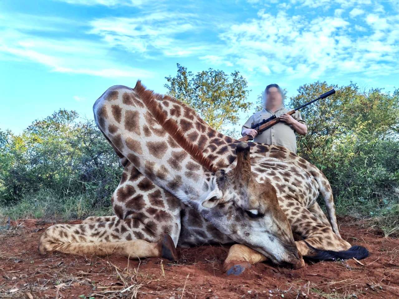 giraffe_20220415 0754