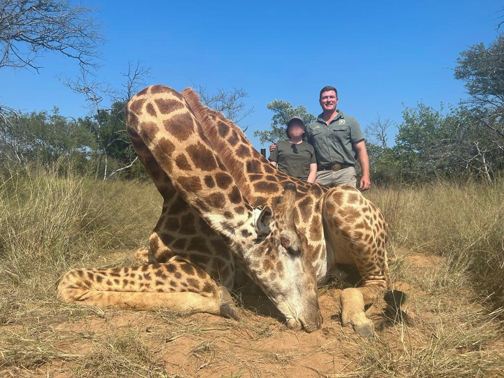 giraffe_20220515 1215