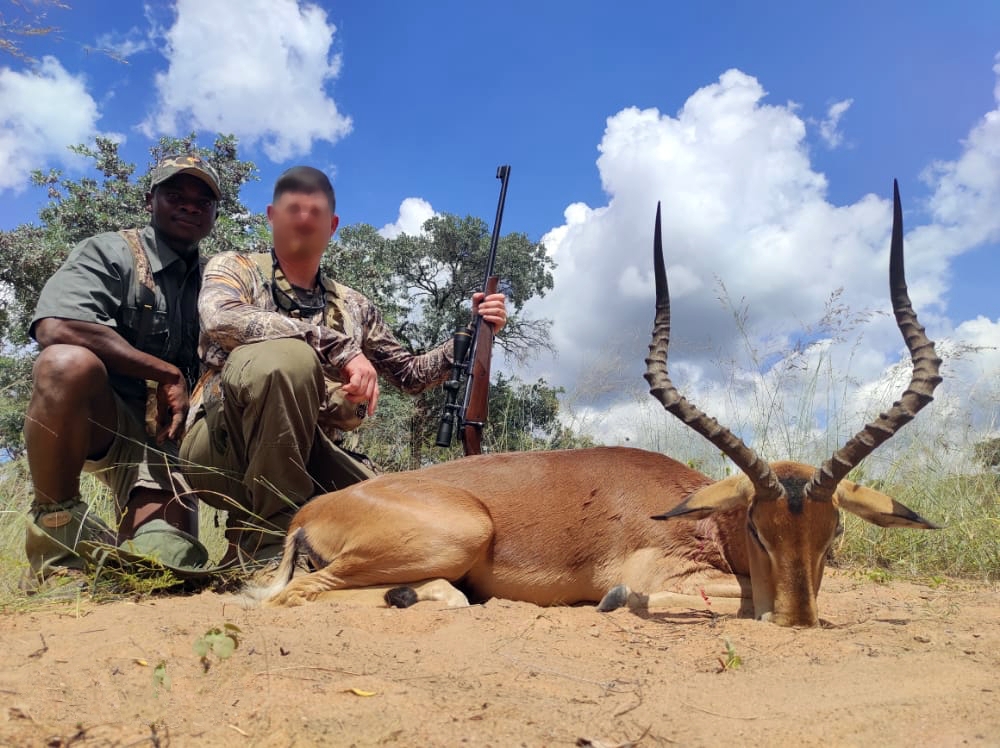 impala_20210319 1211