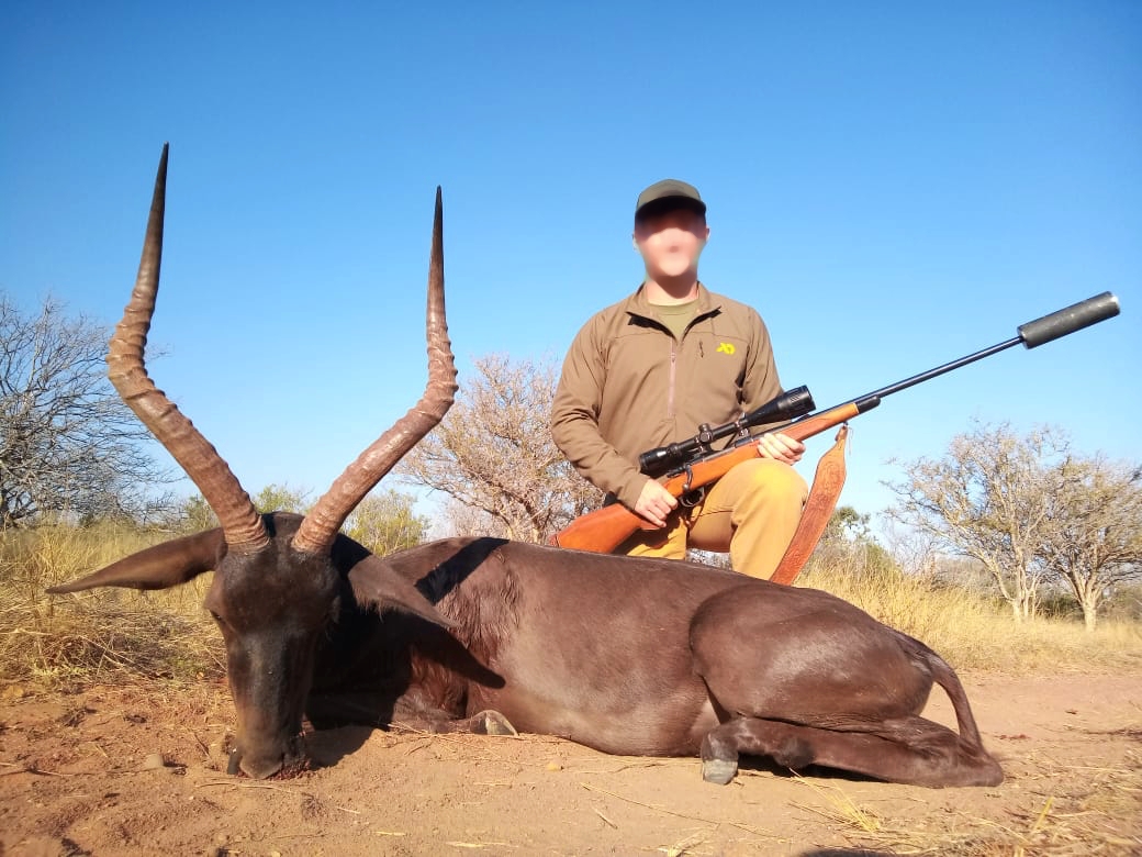 impala_20210711 1213 (2)