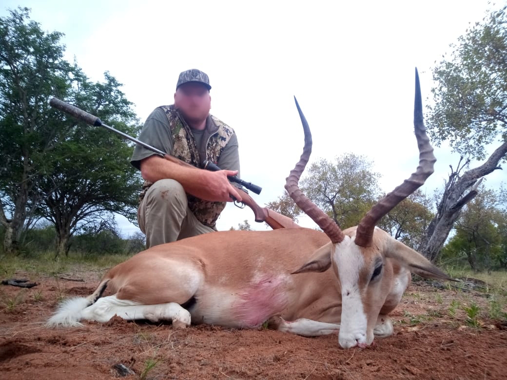 impala_20220317 0645 (3)