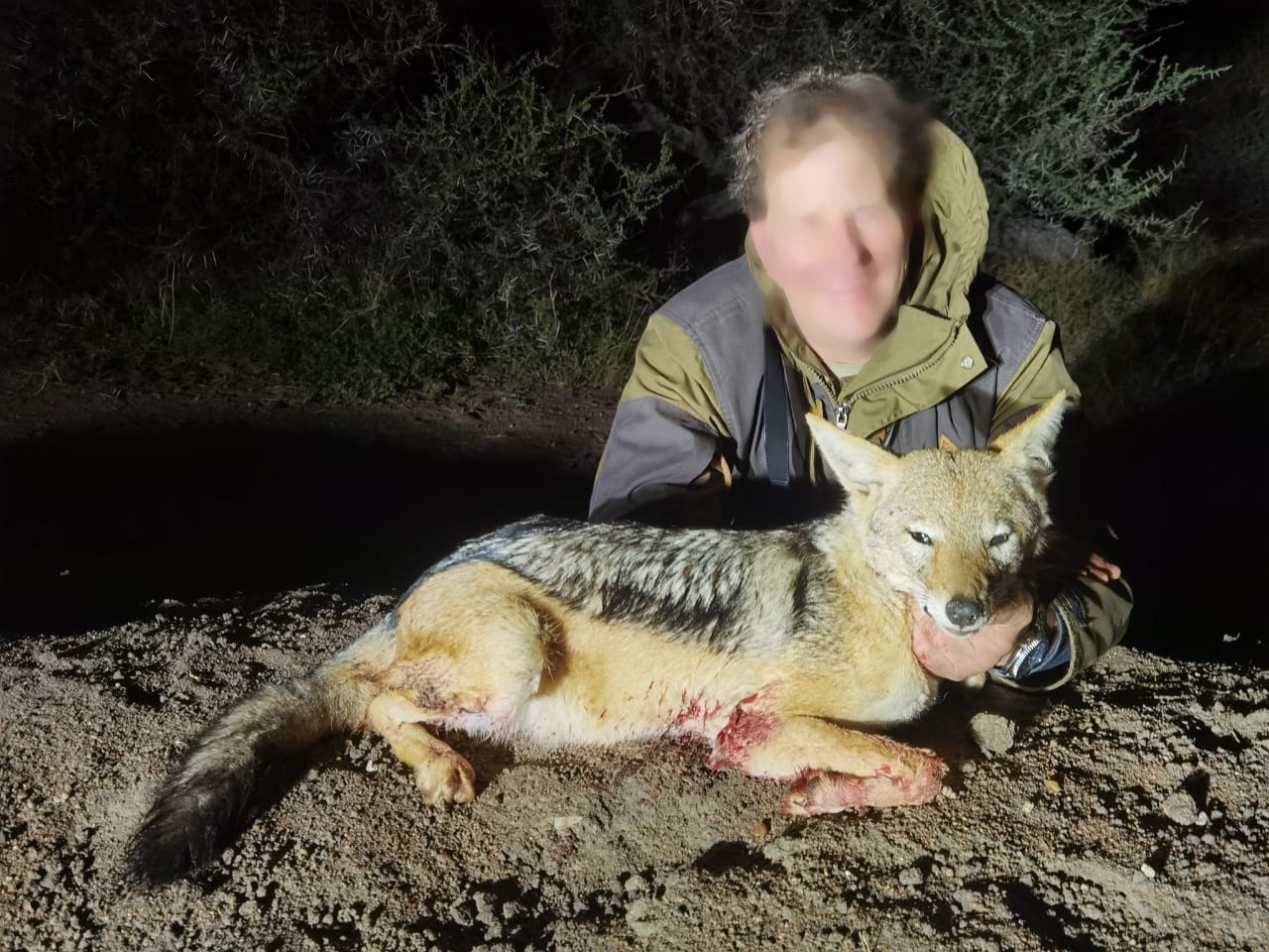 jackal_20220526 1031