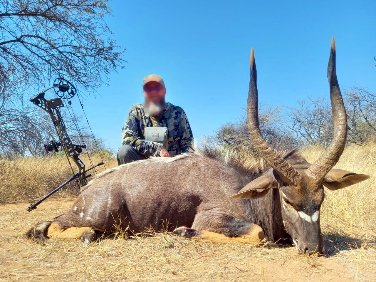 njala_bow_20220813 1255