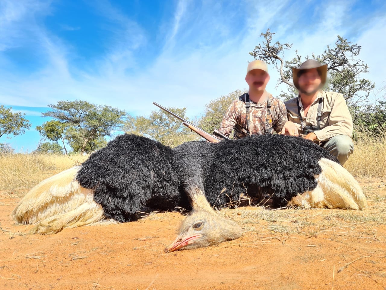 ostrich_20210517 1210