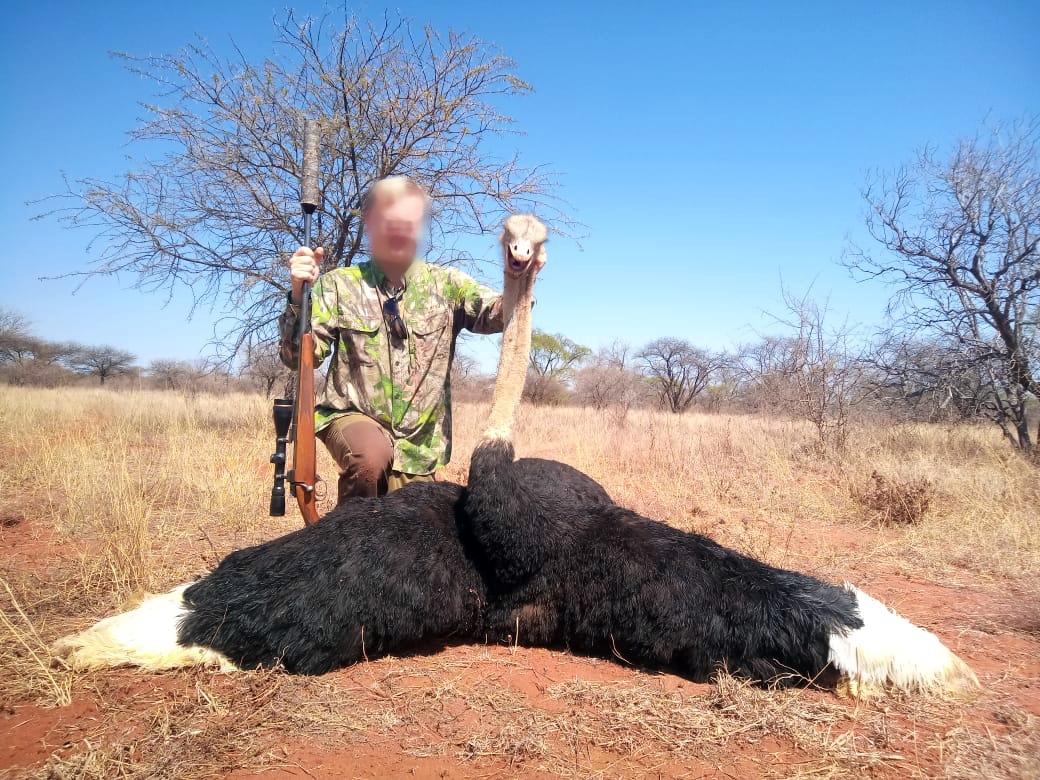 ostrich_20210924 1017