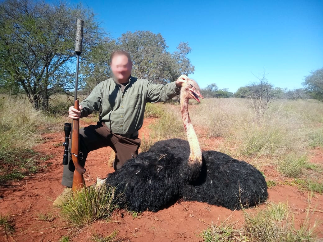 ostrich_20220524 1143