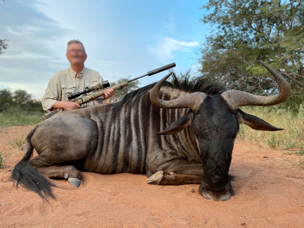 wildebeest_20210319 0657 (2)