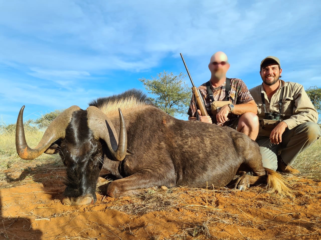 wildebeest_20210517 0425