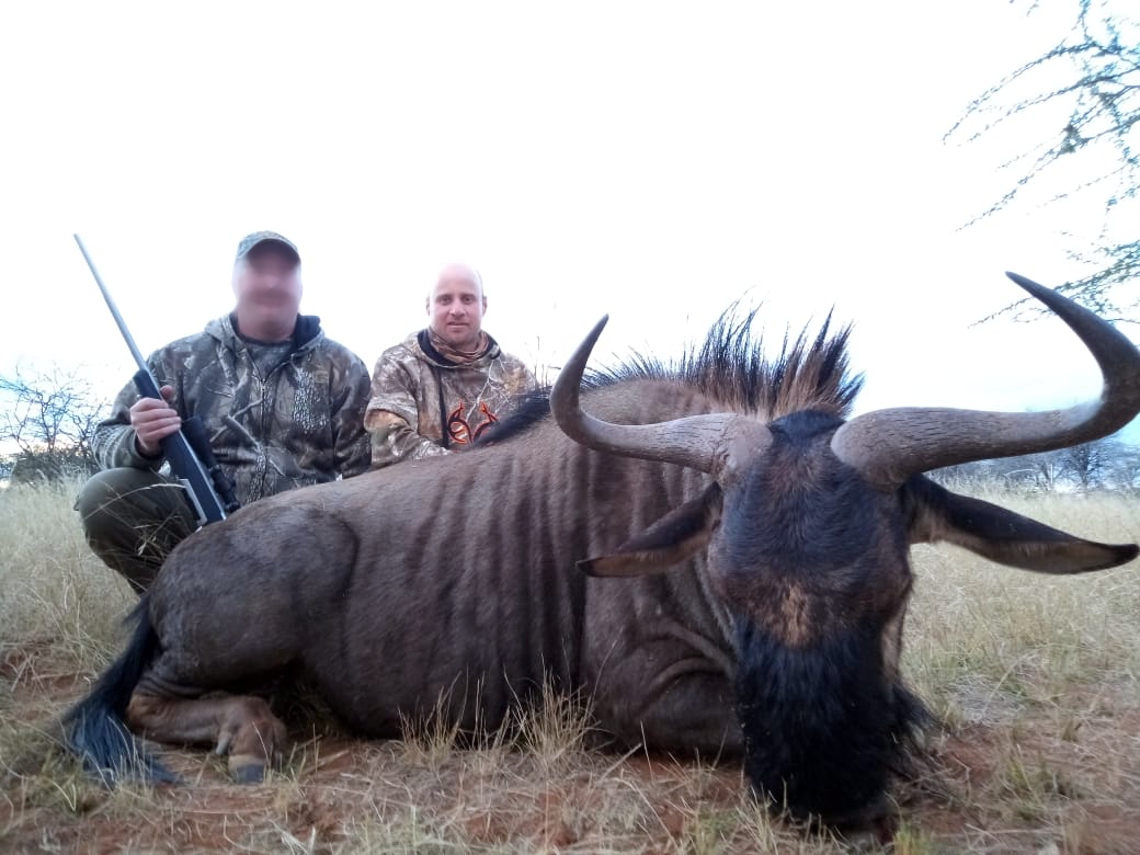 wildebeest_20210608 0547