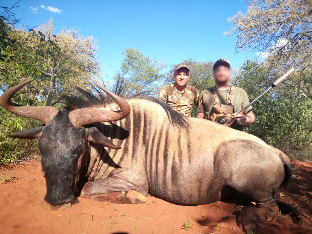 wildebeest_20220203 0714