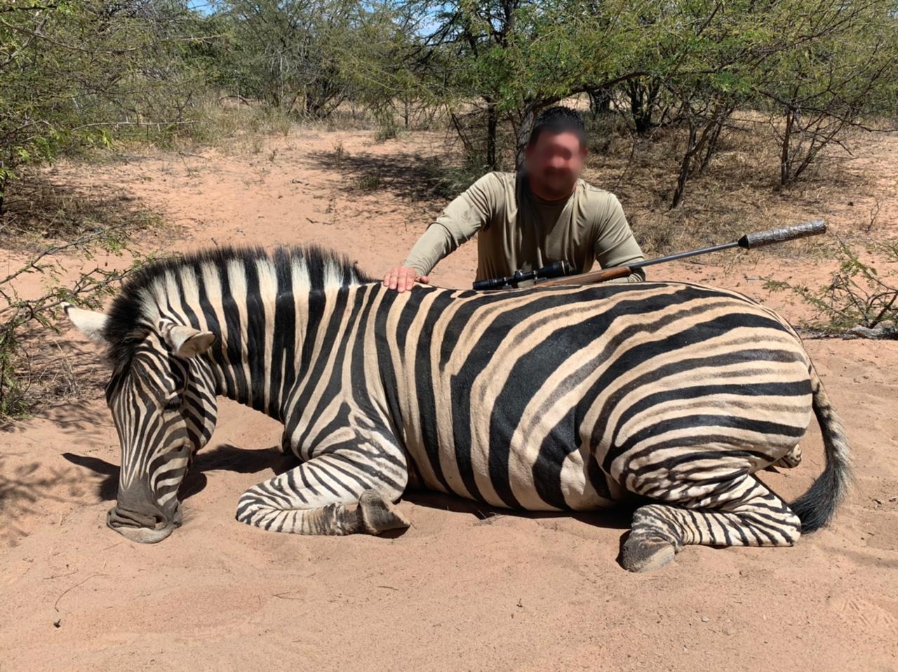 zebra_20220314 1158 (2)