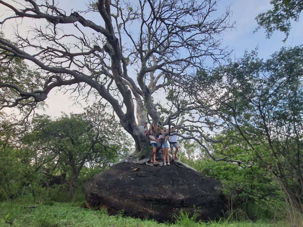 South Africa Hunting Safari Photos